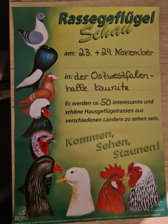 Rassegeflügelschau