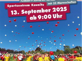 Fussball-F-Junioren Turnier